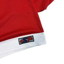 Load image into Gallery viewer, 90’s Detroit Wings Jersey
