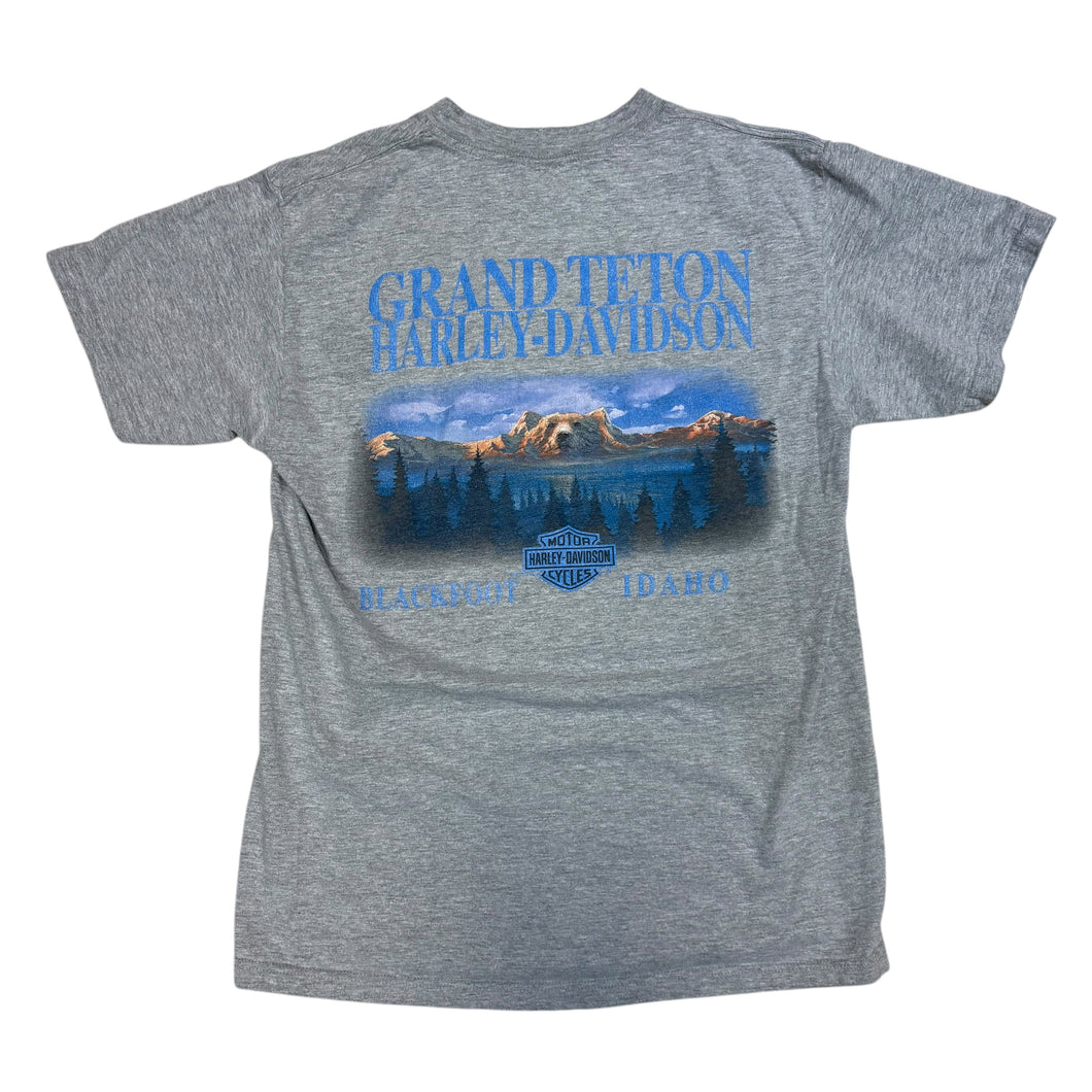 2000's Harley Davidson Grand Teton T-shirt