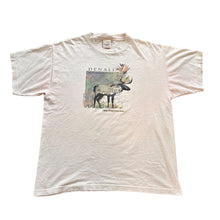 Load image into Gallery viewer, 90’s Denali National Park T-Shirt
