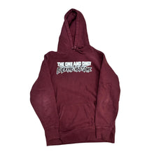 Load image into Gallery viewer, F***ing Awesome The One &amp; Only Hoodie

